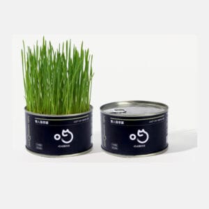 Cat Grass Can